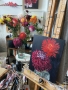 Bradley_studioview_chrysanthemum