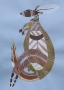 Aboriginal Kangaroo