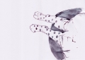 feet ink scan small