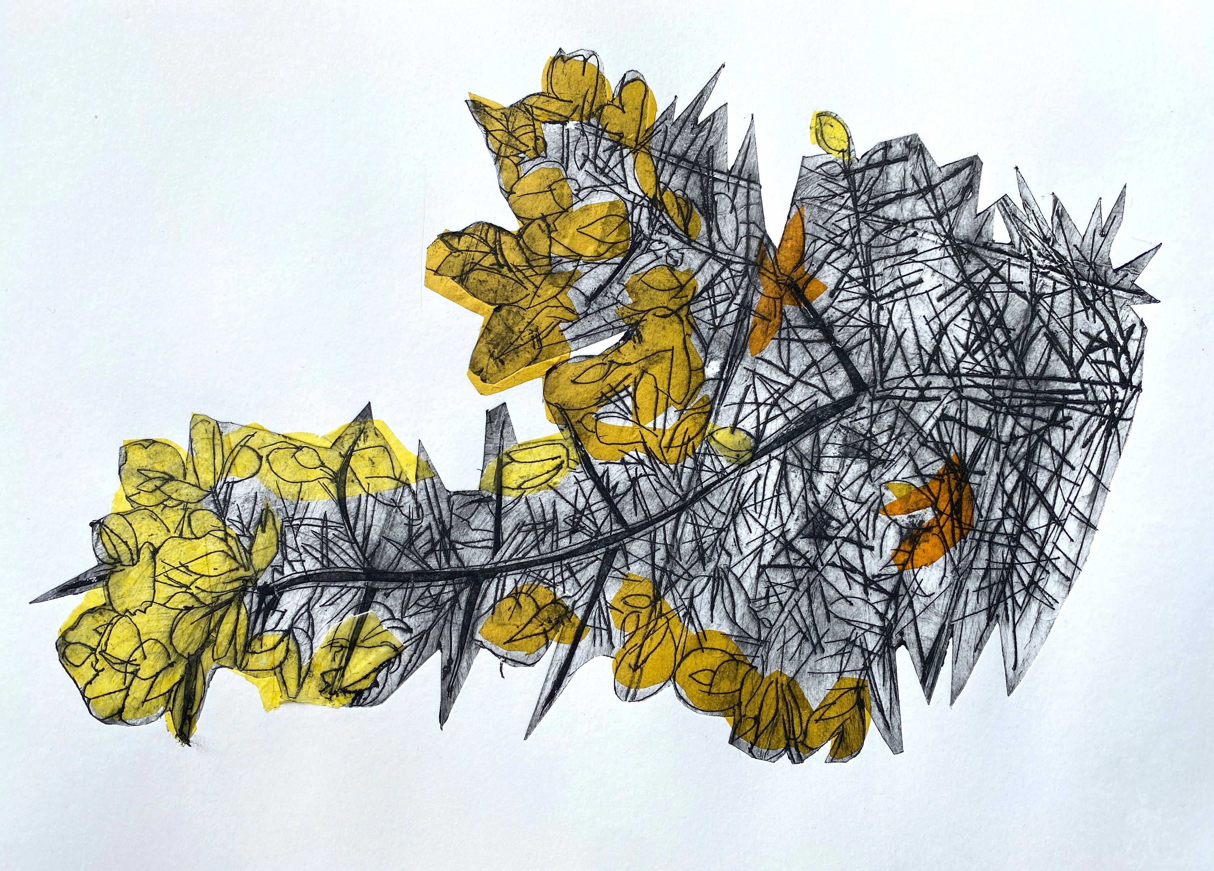 1.-Gorse_drypointW_Louise-Bradley