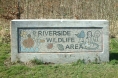 Flynn-Riverside-mosaic-03