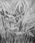 Abbott-Botanic-garden-05