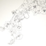 LB_heliotrope
