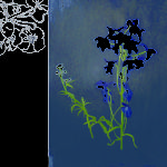 LOUISE_BRADLEY_1440W